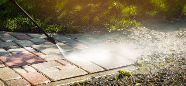Best Dumpster Area Cleaning  in Aromas, CA